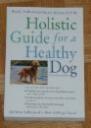 holistic dog