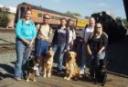 train old dog